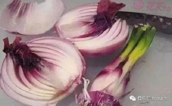 图解 洋葱盆景发芽后的制作过程