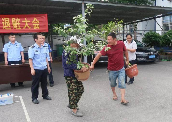 酒后壮胆偷盆景 叫嚣民警抓的就是你