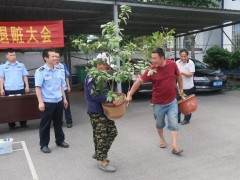酒后壮胆偷盆景 叫嚣民警抓的就是你