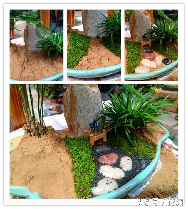 图解 制作文竹盆景的3个步骤