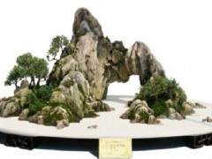 如何给山石盆景养苔鲜的4个方法