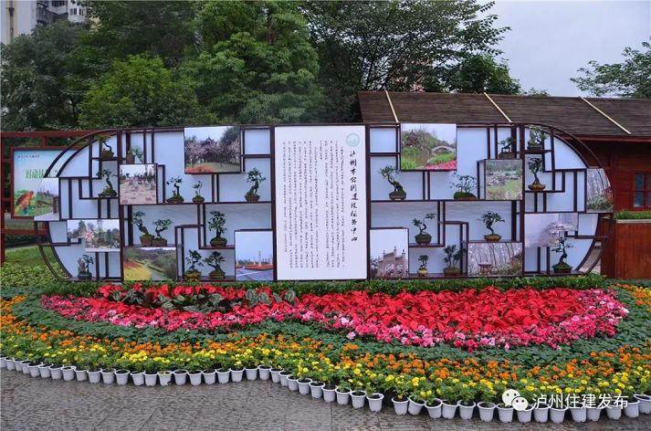 四川省第十届盆景展在泸州龙透关公园开幕