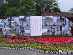 四川省第十届盆景展在泸州龙透关公园开幕