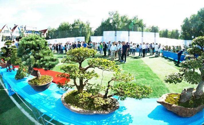 高邮举办第二届盆景艺术展