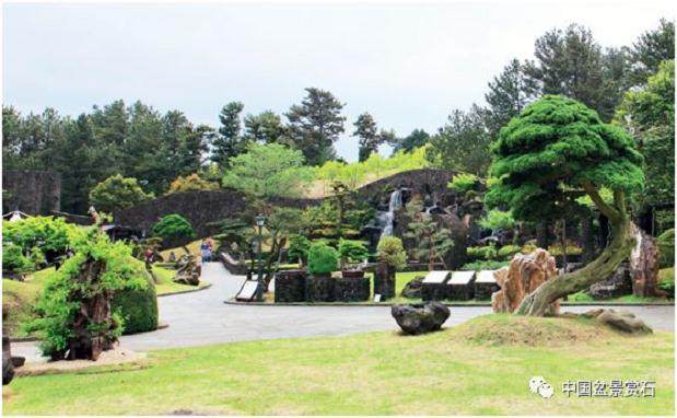 为什么大佬都去看这个济州岛的盆景园?