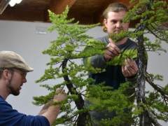 2014年 第六届中国盆景学术研讨会