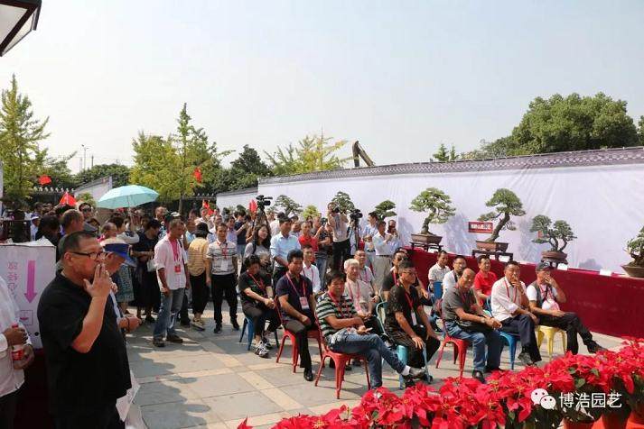 宁波第五届盆景艺术展开幕