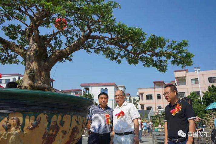 广东盆景协会会长曾安昌等领导分别获奖的单位