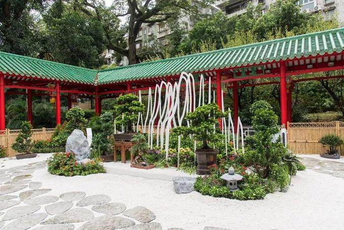 金秋十月，来卢廉若公园看场免费的盆景展！