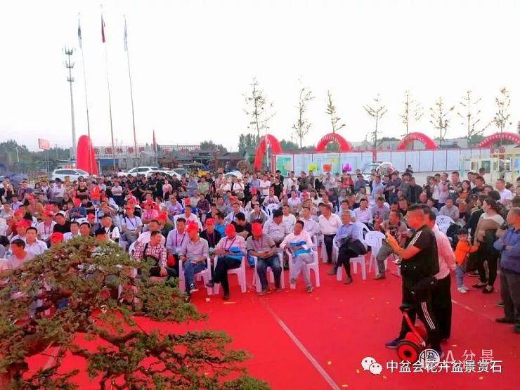 沭阳花木节盆景拍卖活动火爆 成交额达70多万元