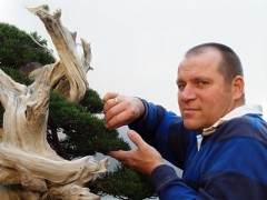 荷兰盆景艺术家-卡洛斯·范德法特