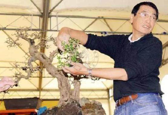 中国盆景艺术家--郑在权