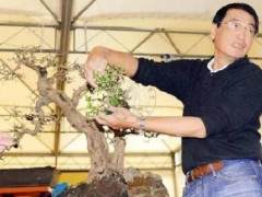 中国盆景艺术家郑在权
