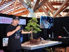 2018年 第二届世界盆景艺术创作大会
