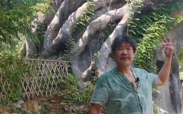 我按照盆景的模样做出来的一个大型盆景公园