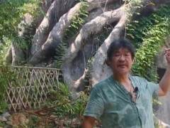 我按照盆景的模样做出来的一个大型盆景公园