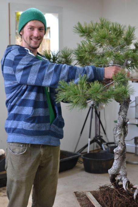 我在波特兰收的几个盆景徒弟