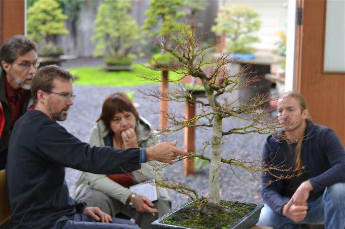 制作山楂盆景时要注意它的季节性 图片