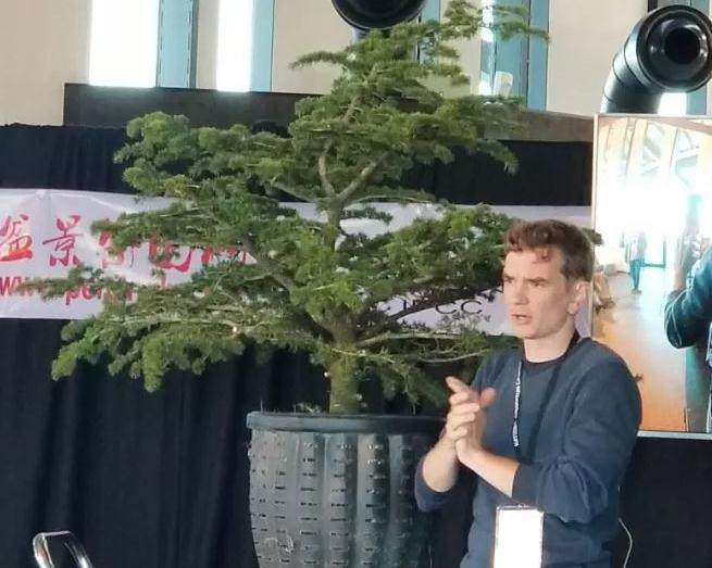 捷克盆景艺术家 Jan Culeck 现场示范表演