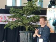 捷克盆景艺术家 Jan Culeck 现场示范表演