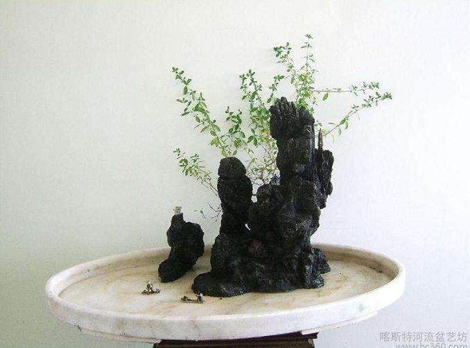 关于天津流派是不是被认可的问题?