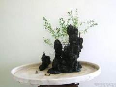 关于天津流派是不是被认可的问题？