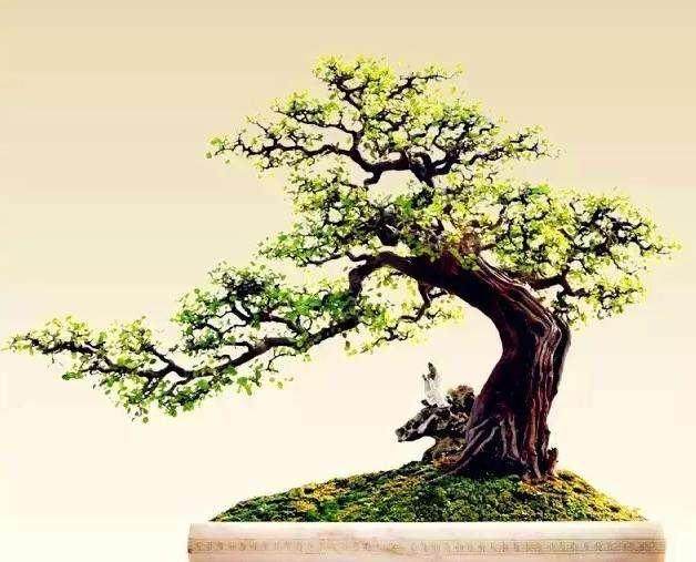 雀梅盆景的移栽最好在冬季末期进行