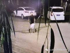 武山县城偷盆景的家伙 警察喊你来报到