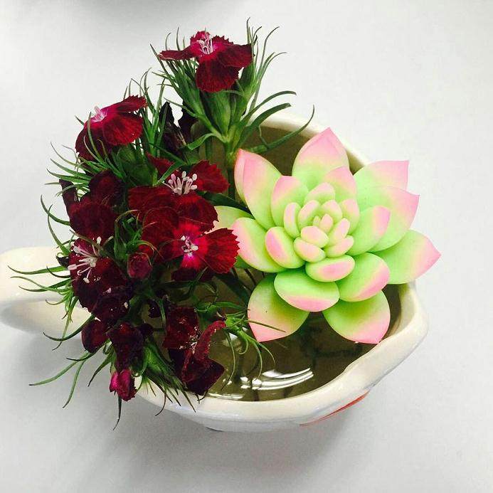 多肉植物市场发展空间