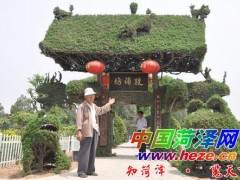 探访菏泽的百年刺柏编就的松编文化