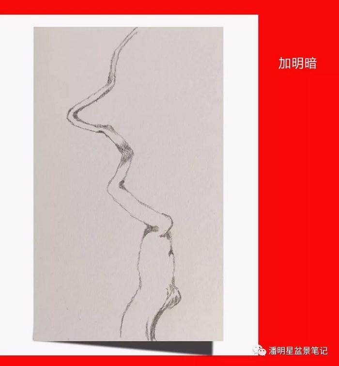 图解 盆景构思的设计过程 多图片展示