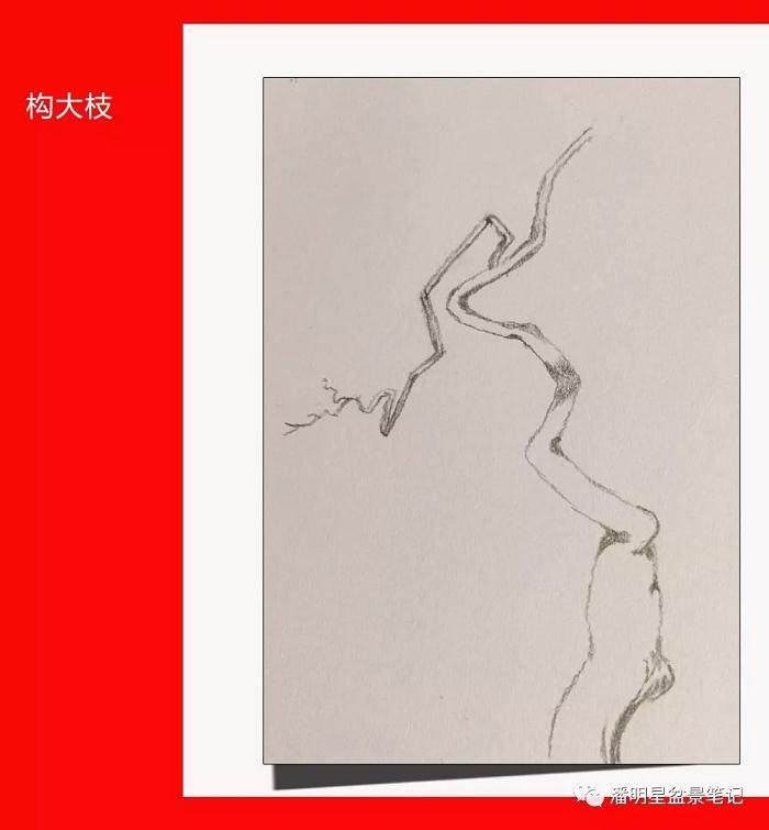 图解 盆景构思的设计过程 多图片展示