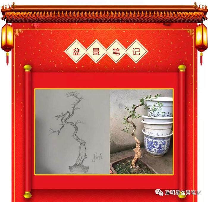 图解 盆景构思的设计过程 多图片展示