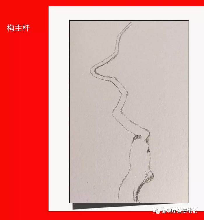 图解 盆景构思的设计过程 多图片展示