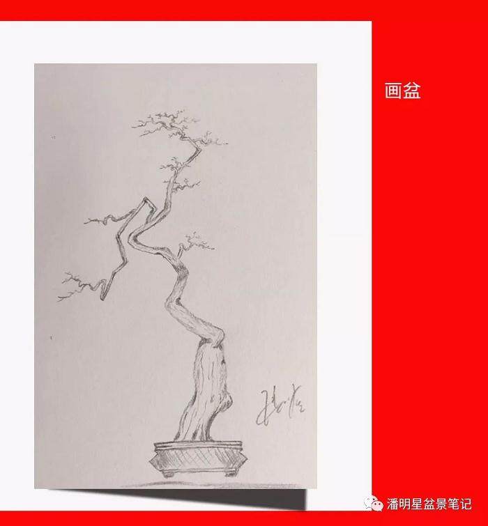 图解 盆景构思的设计过程 多图片展示