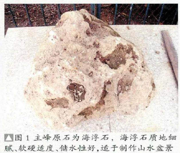 图解 怎么制作山水盆景的6个步骤