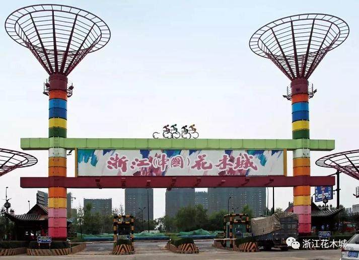 首届杭州盆景赏石艺术博览会