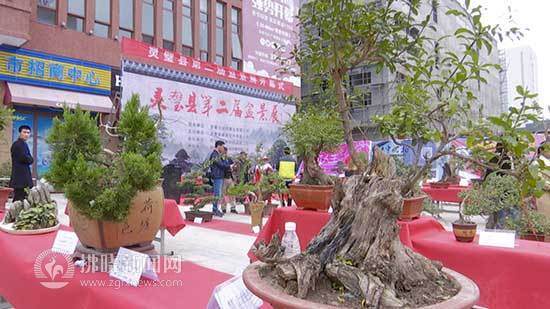 2018年 灵璧举办第二届盆景展
