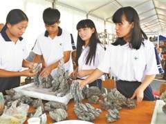 广州英西中学创作的山水工艺盆景