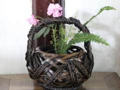 58岁的吴某因盗窃盆景 付出了被行政拘留5天的代价