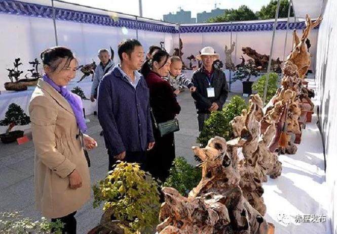 赤壁市举办第四届盆景、根艺、赏石艺术展
