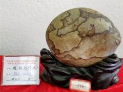 中国.遂宁首届奇石根雕盆景博览会