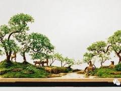 意境 现代盆景创作不能丢失的灵魂