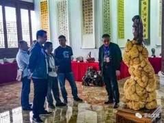 遂宁首届奇石根雕盆景博览会