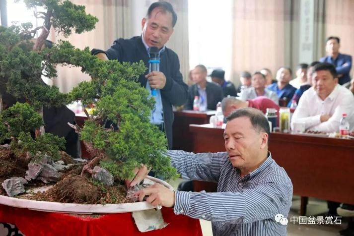 2018 长兴花木大会暨第二届盆景造型大赛