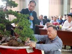 2018 长兴花木大会暨第二届盆景造型大赛