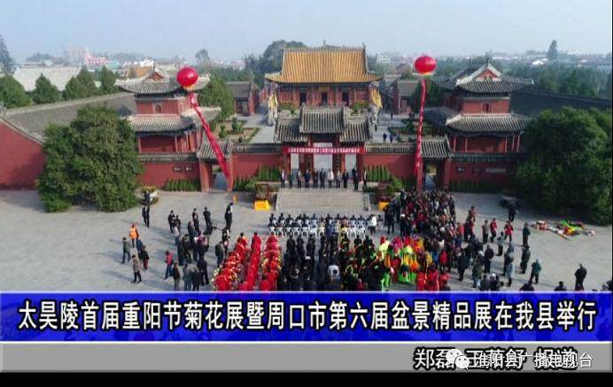 周口市第六届盆景精品展在淮阳县举行