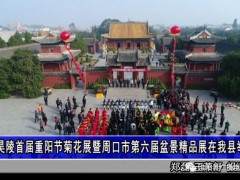 周口市第六届盆景精品展在淮阳县举行