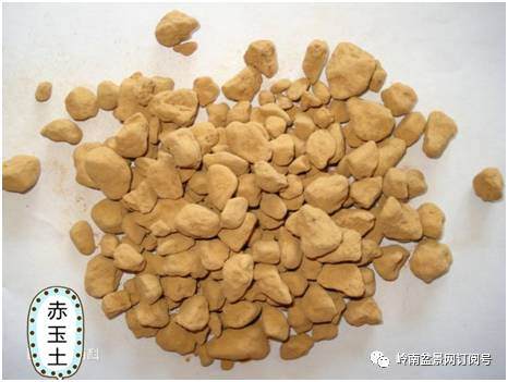 图解 盆景换盆后怎么生根的方法