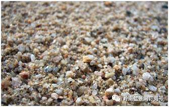 图解 盆景换盆后怎么生根的方法